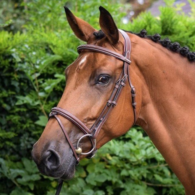 Bridon Paris JUMP'IN