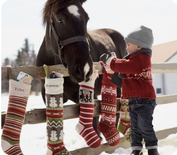 Idée cavalier pour jeunes passionnés d’équitation 