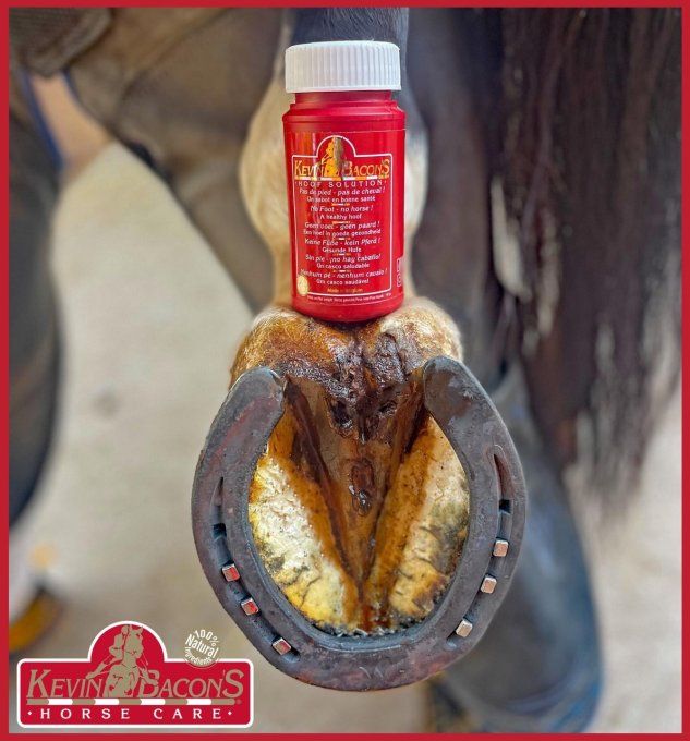 Hoof solution 