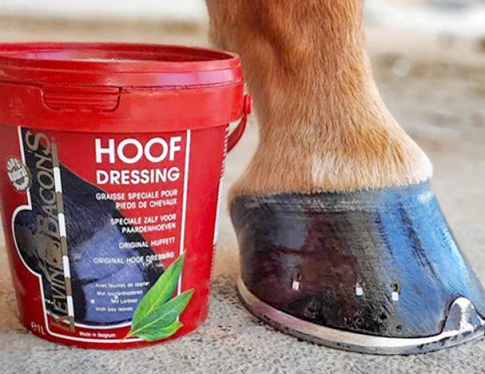 Hoof Dressing Blond 